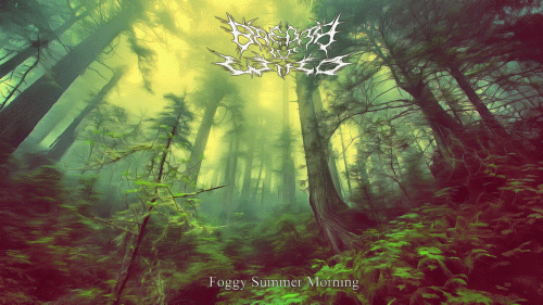 Breath Of Wind : Foggy Summer Morning